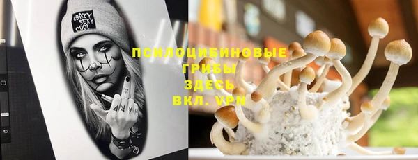 бошки Карталы