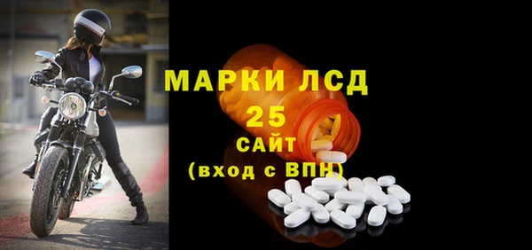 ПСИЛОЦИБИНОВЫЕ ГРИБЫ Карпинск