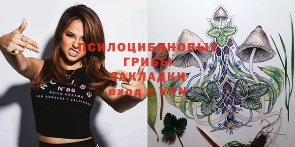 apvp Кинешма