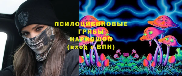 ПСИЛОЦИБИНОВЫЕ ГРИБЫ Карпинск
