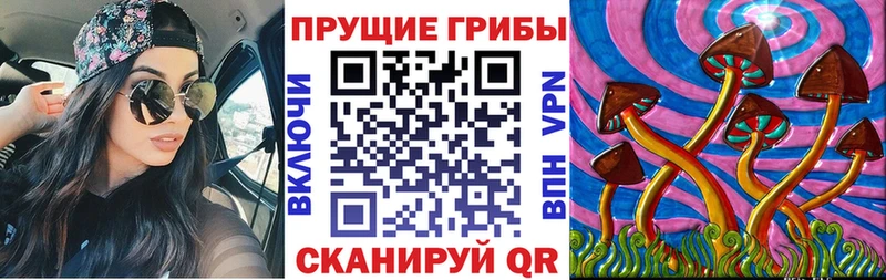 Купить закладки  Новотроицк  Псилоцибиновые грибы Psilocybine cubensis 